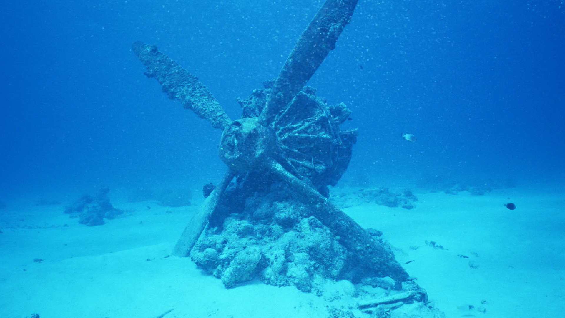 Gallery For Gt Underwater Shipwreck Wallpaper