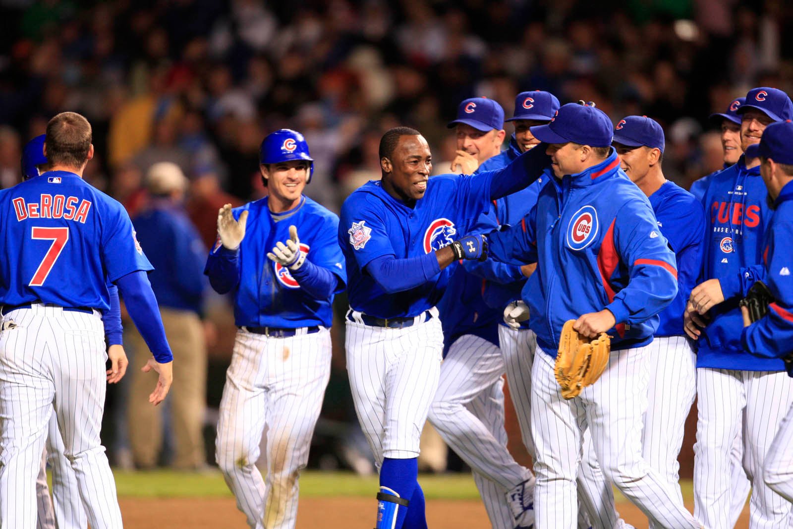 Download Chicago Cubs wallpaper Chicago Cubs Team