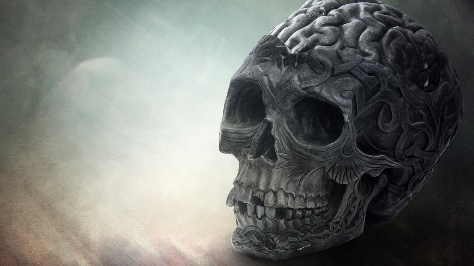 Brain Skull Wallpaper In 3d Abstract With All