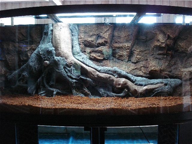 3d Aquarium Background1