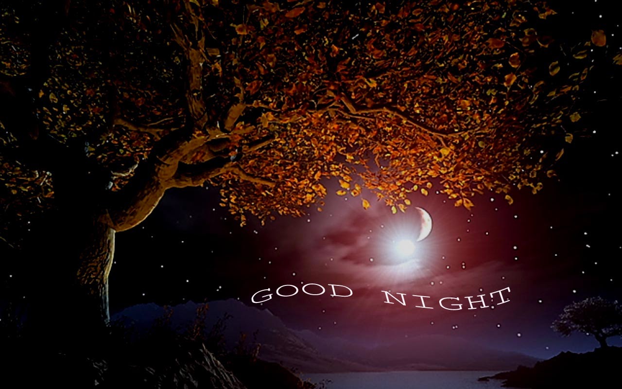 Good Night HD Wallpaper