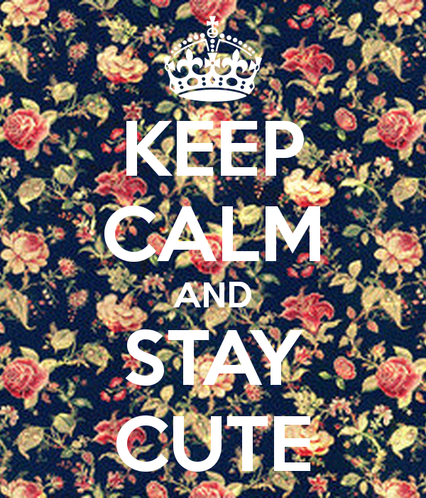 Keep Calm And Stay Cute Carry On Image Generator