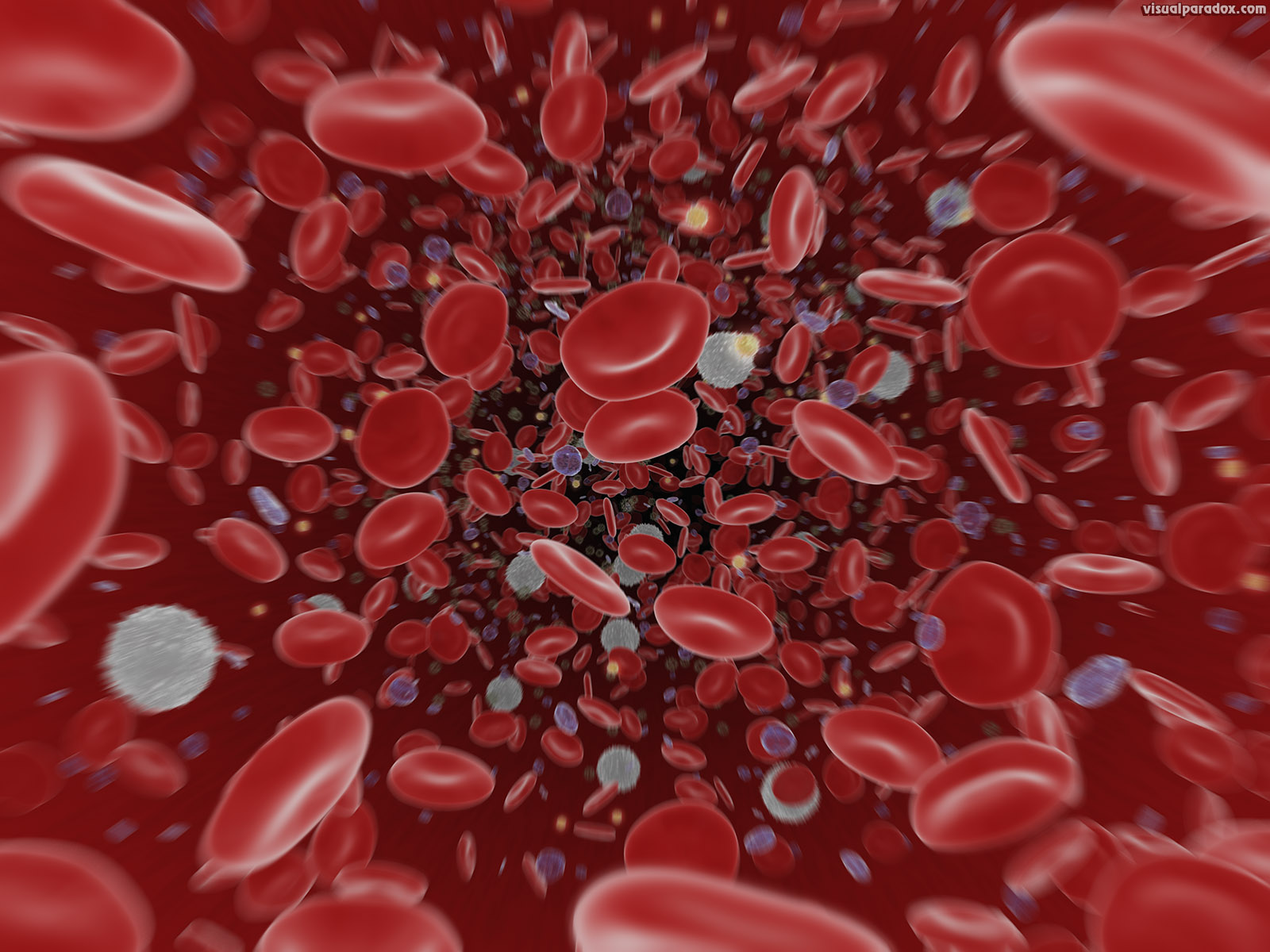 Neuron And Red Blood Cells Wallpaper D