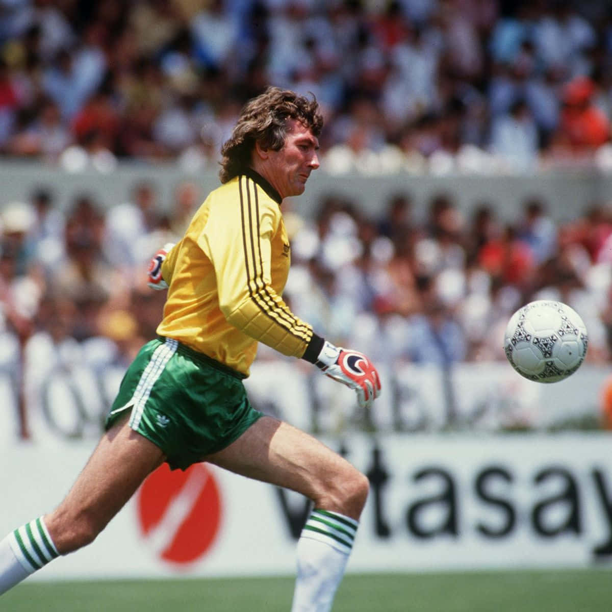Pat Jennings Fifa World Cup Wallpaper