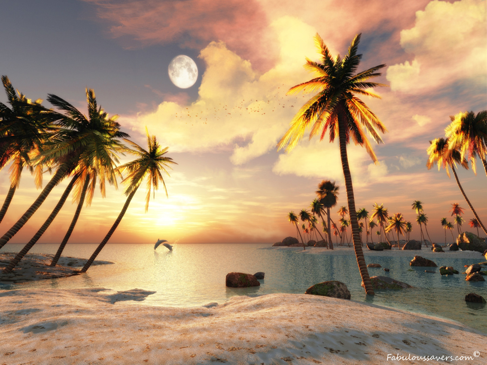 Beautiful 3d Beach Puter Desktop Wallpaper Pictures Image