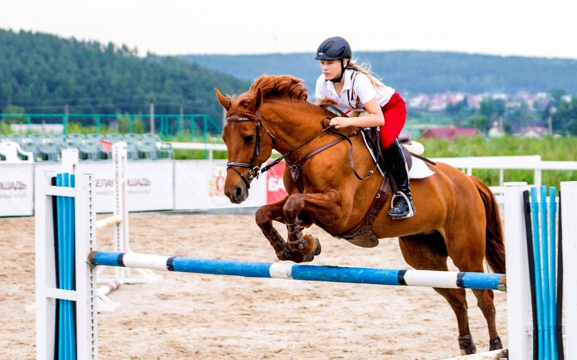 HD horse riding wallpapers | Peakpx