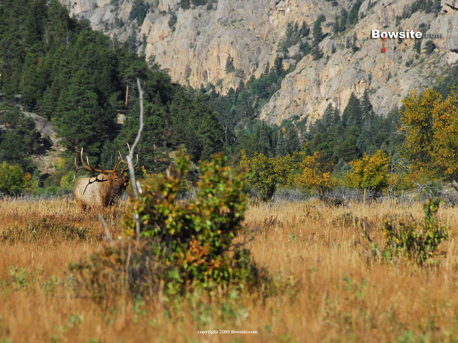 Bow Hunting Background Bowhunting Wallpaper Desktop