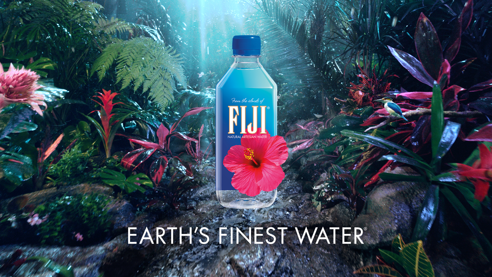 Free download FIJI Water on Every drop of FIJI Water filters through
