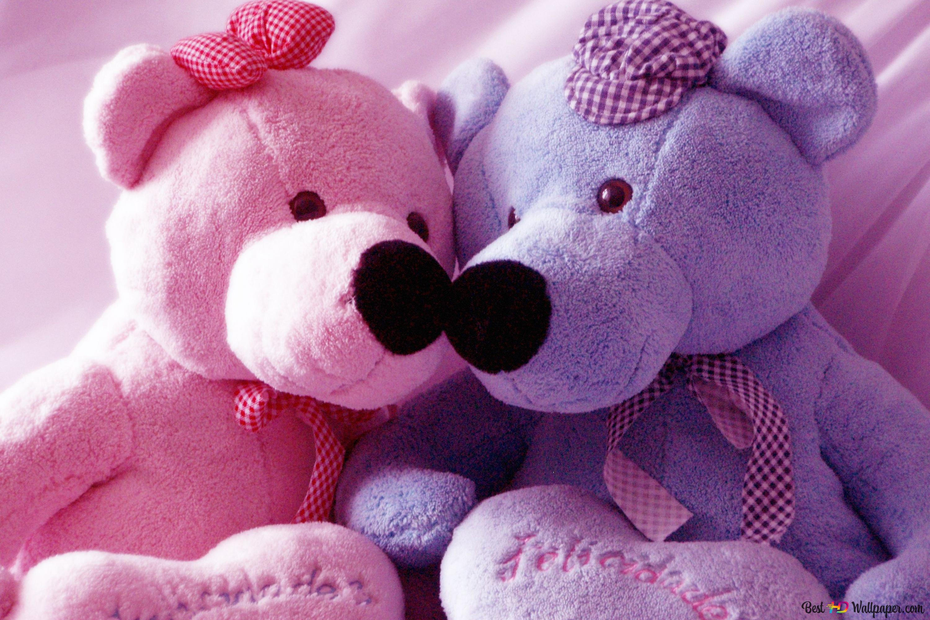 Two Cute Bears In Purple And Pink 2k Wallpaper