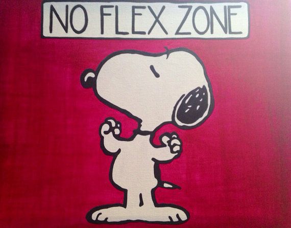 No Flex Zone By Boogie X Acrylic On S