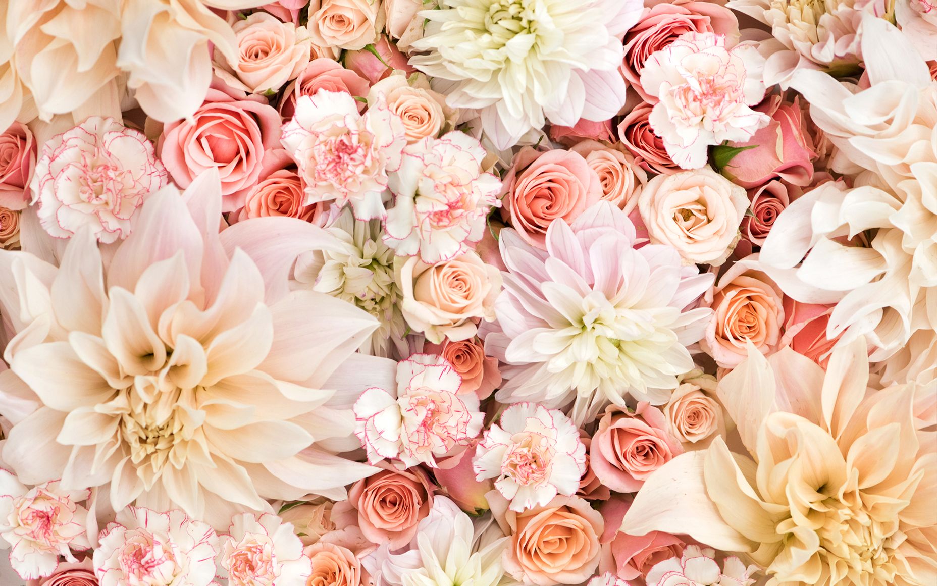 Free download Floral Computer Wallpapers Top Free Floral Computer Backgrounds [1856x1161] for