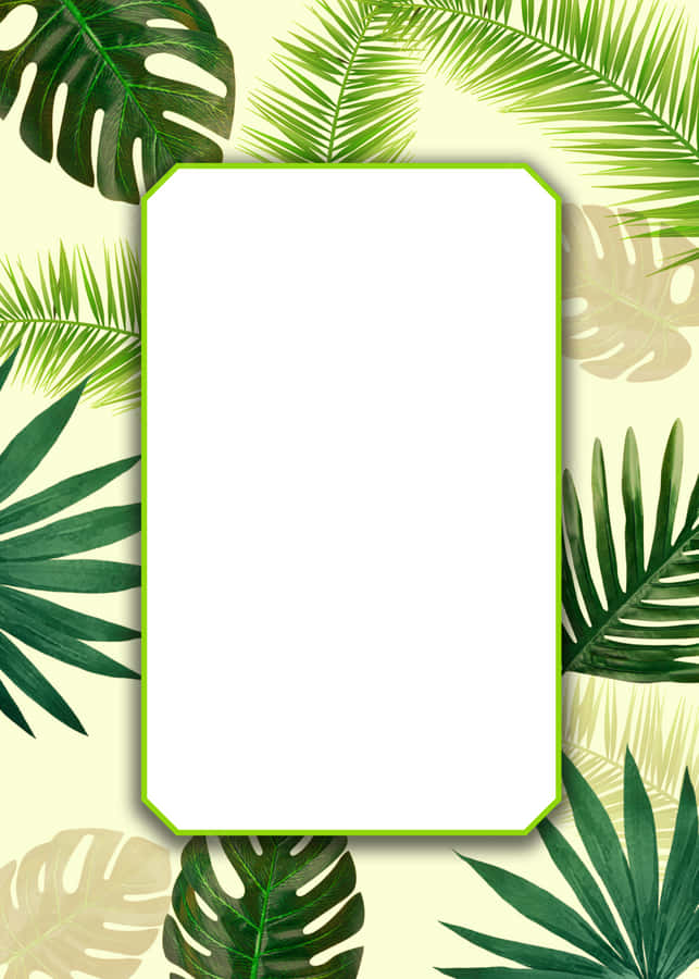 Aesthetic Of Tropical Palm Leaves On A White Background Wallpaper
