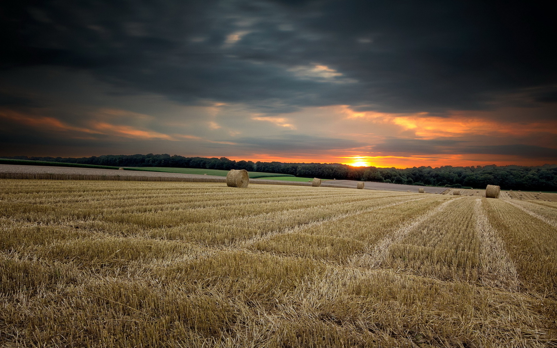 Nature Landscapes Fields Crops Farm Hay Bales Wheat Rustic Wallpaper