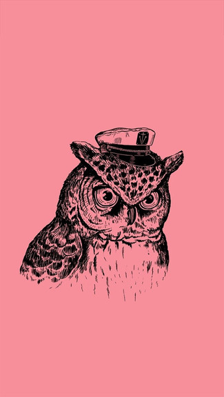 Captain Owl iPhone Wallpaper