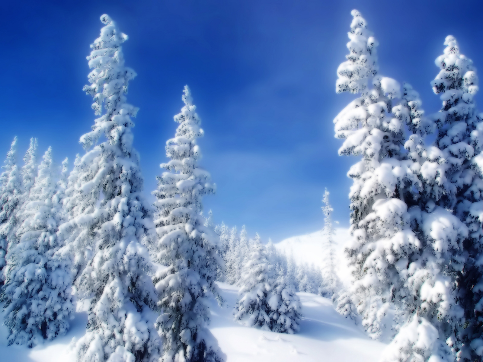 Snow Scenes 1600x1200 Wallpapers 1600x1200 Wallpapers Pictures Free