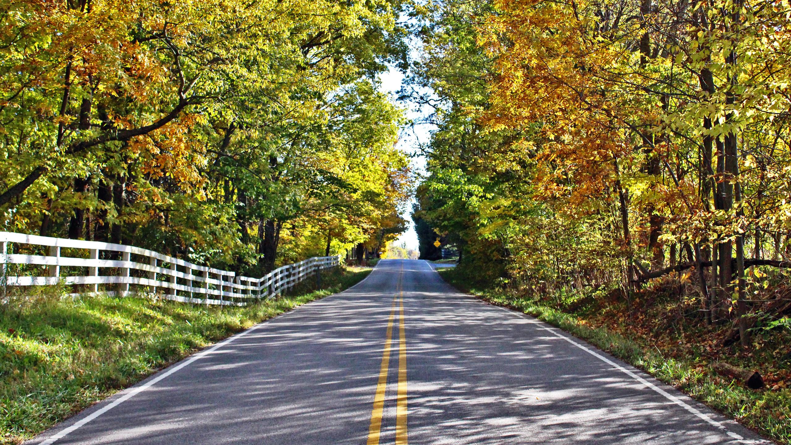 Wallpaper Indiana Autumn Country Road Background Image Desktop