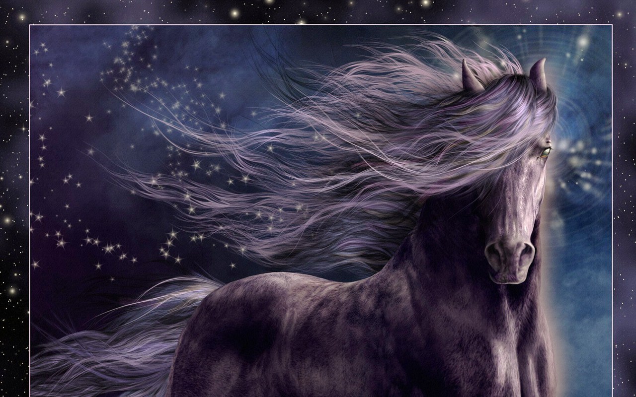 Beautiful Horse Horses Wallpaper