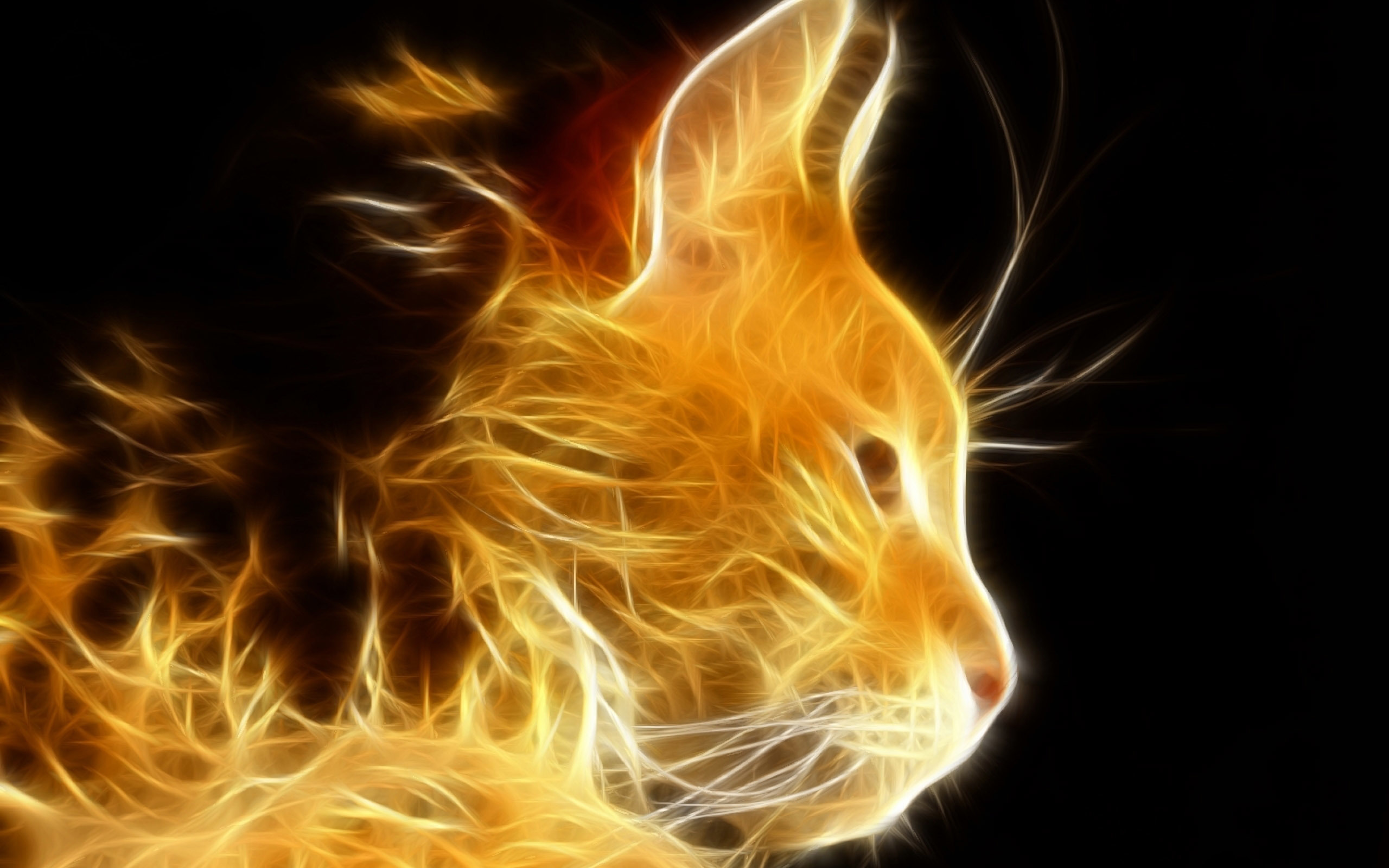 Fire Cat Wallpaper For Your
