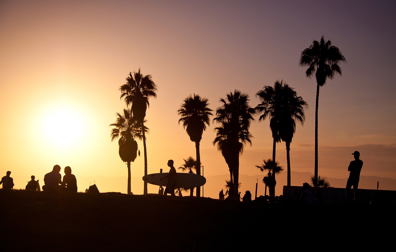 Wallpaper summer california sunset usa surf los angeles palm