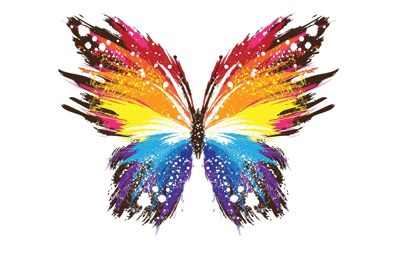 Wallpaper Color Abstraction Background Butterfly Wings Image