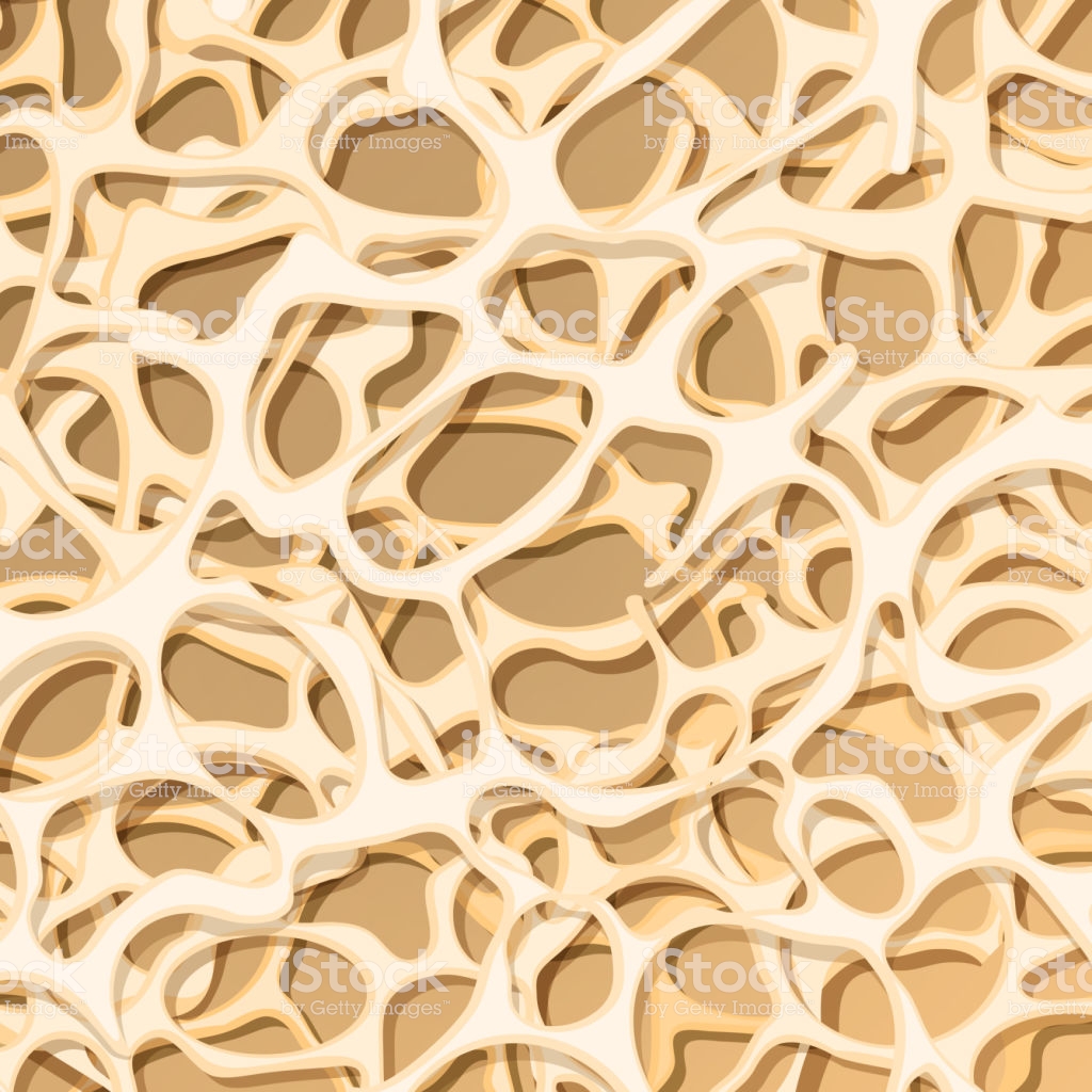 Bone Structure Osteoporosis Medical Background Stock Illustration