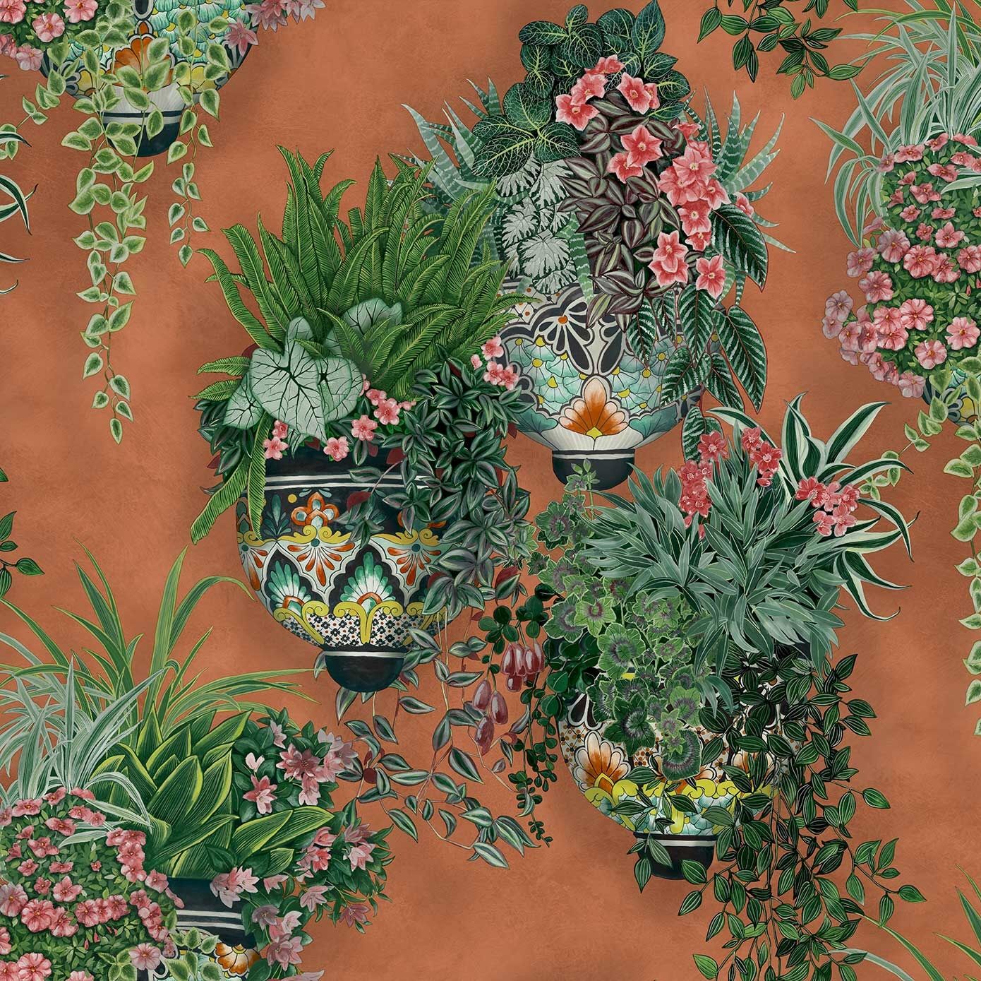 Son Talavera Wallpaper Cole