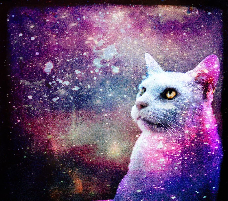 Cat Art Wallpaper Galaxy By Skinagainstface