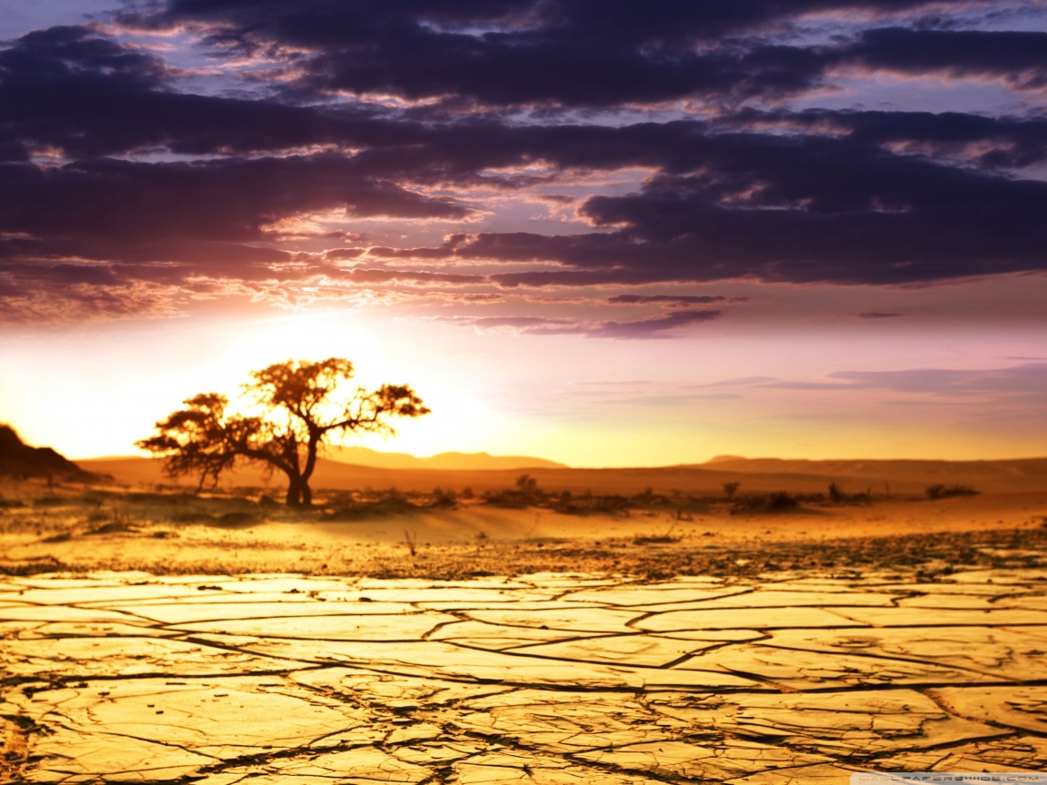 African Landscape Desktop Wallpaper