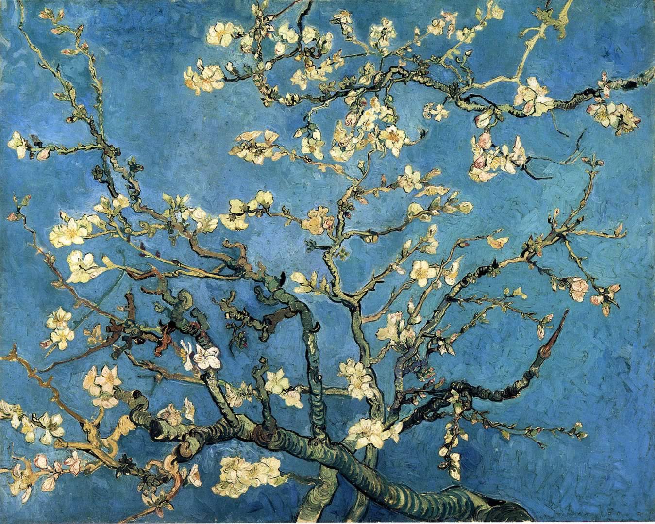 Blossom Almond Wallpaper