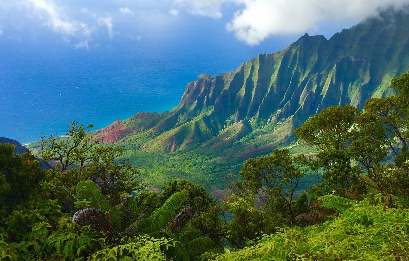 Wallpaper Sea Trees Mountains Hawaii Kauai The N Pali Coast