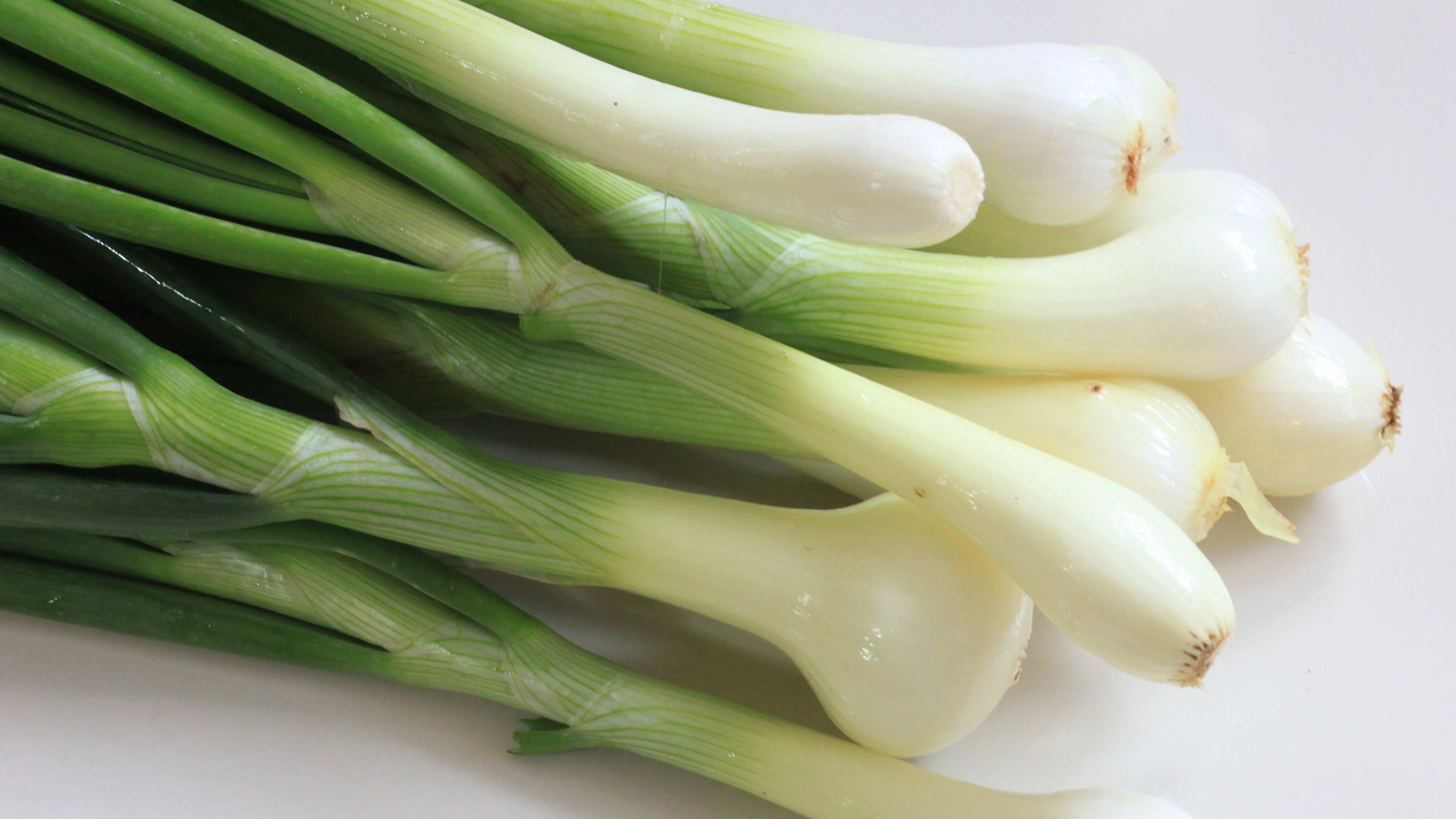 Green Onions Wallpaper