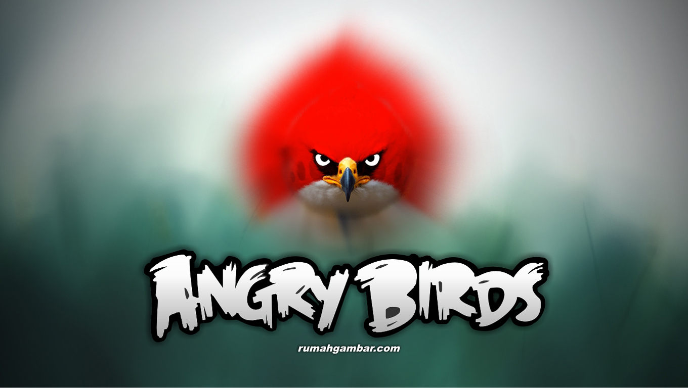 3D HD WALLPAPERS ANGRY BIRDS WALLPAPERS