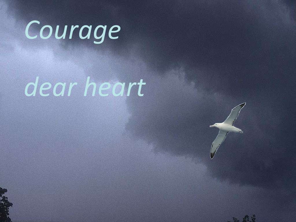 Munity Forums Topic Courage Dear Heart Wallpaper