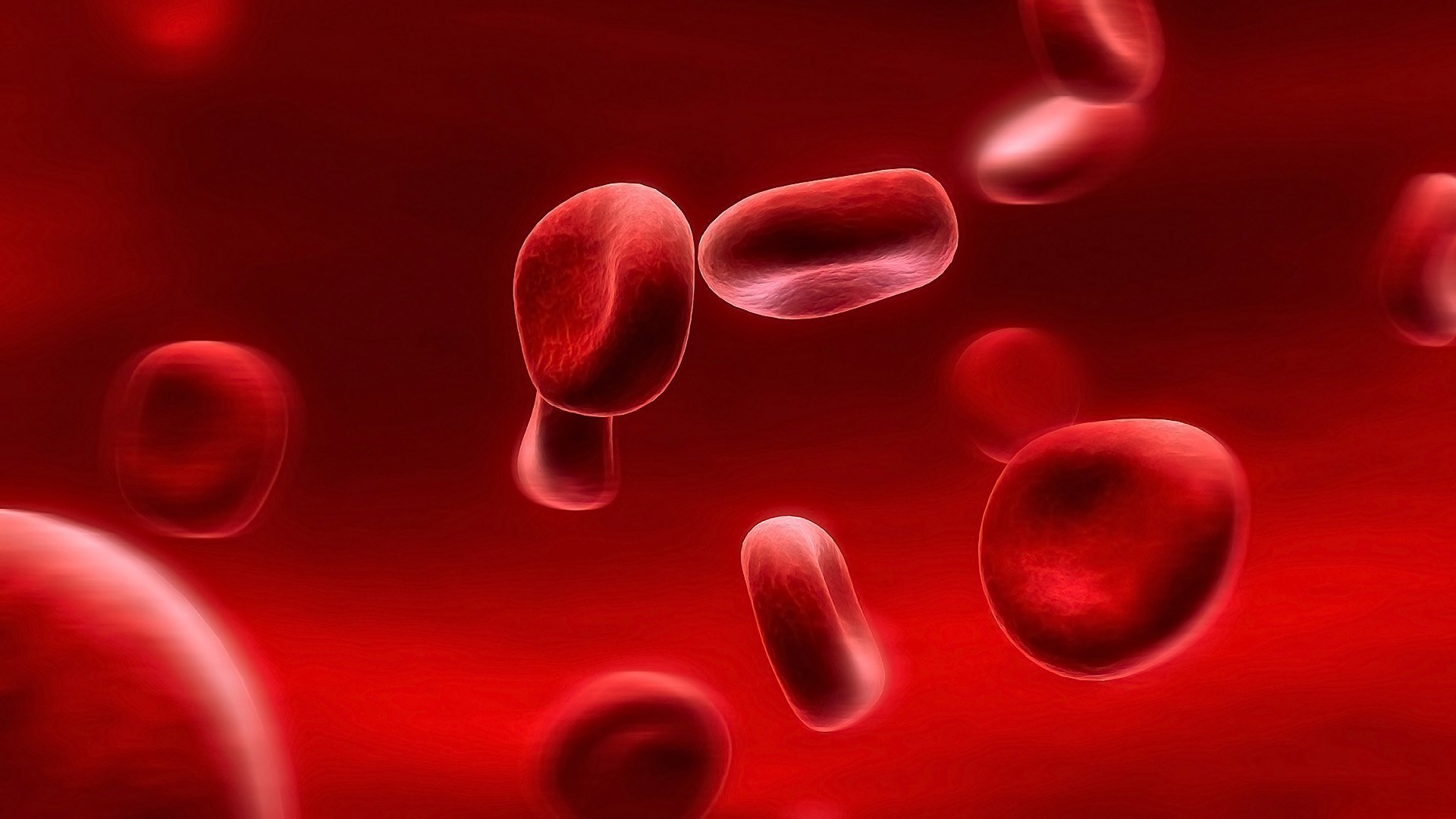 Wallpaper Red Blood Cells Full HD 2k Picture Image