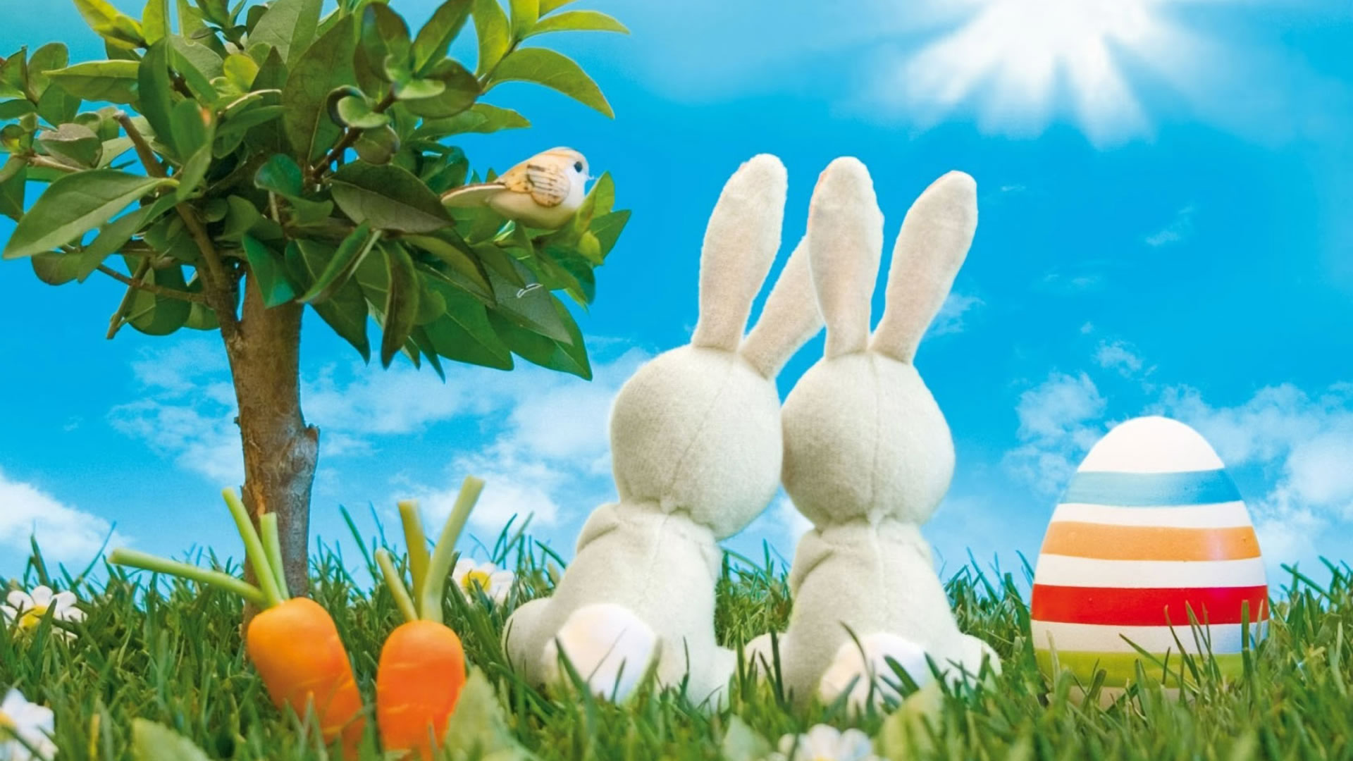 Couple Rabbit HD Desktop Wallpaper