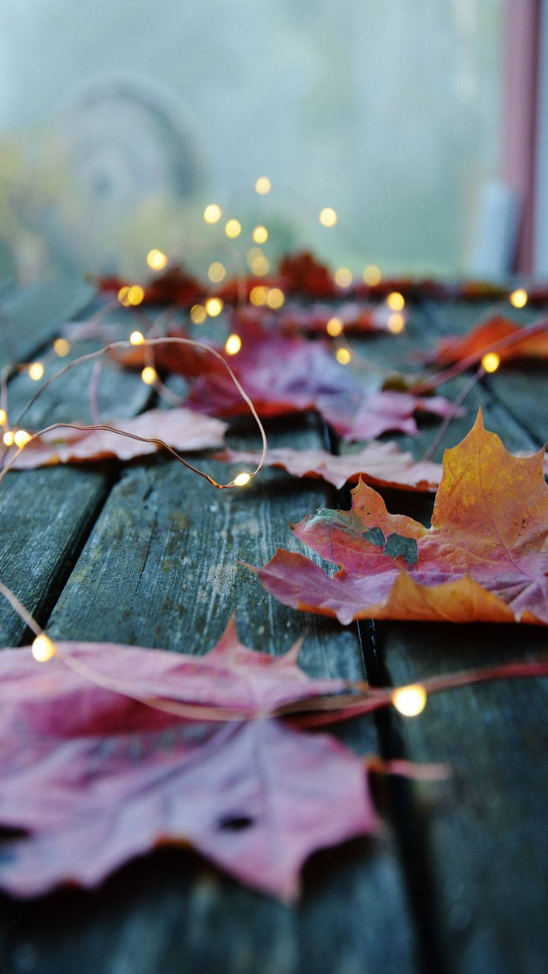 Autumn Phone Wallpaper