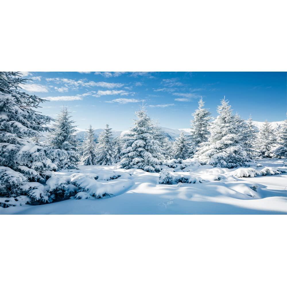 Amazon Csfoto Winter Scene Photo Backdrop