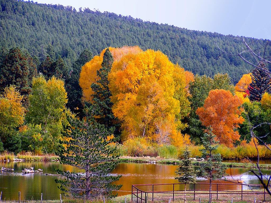 Fall Landscape Desktop Background