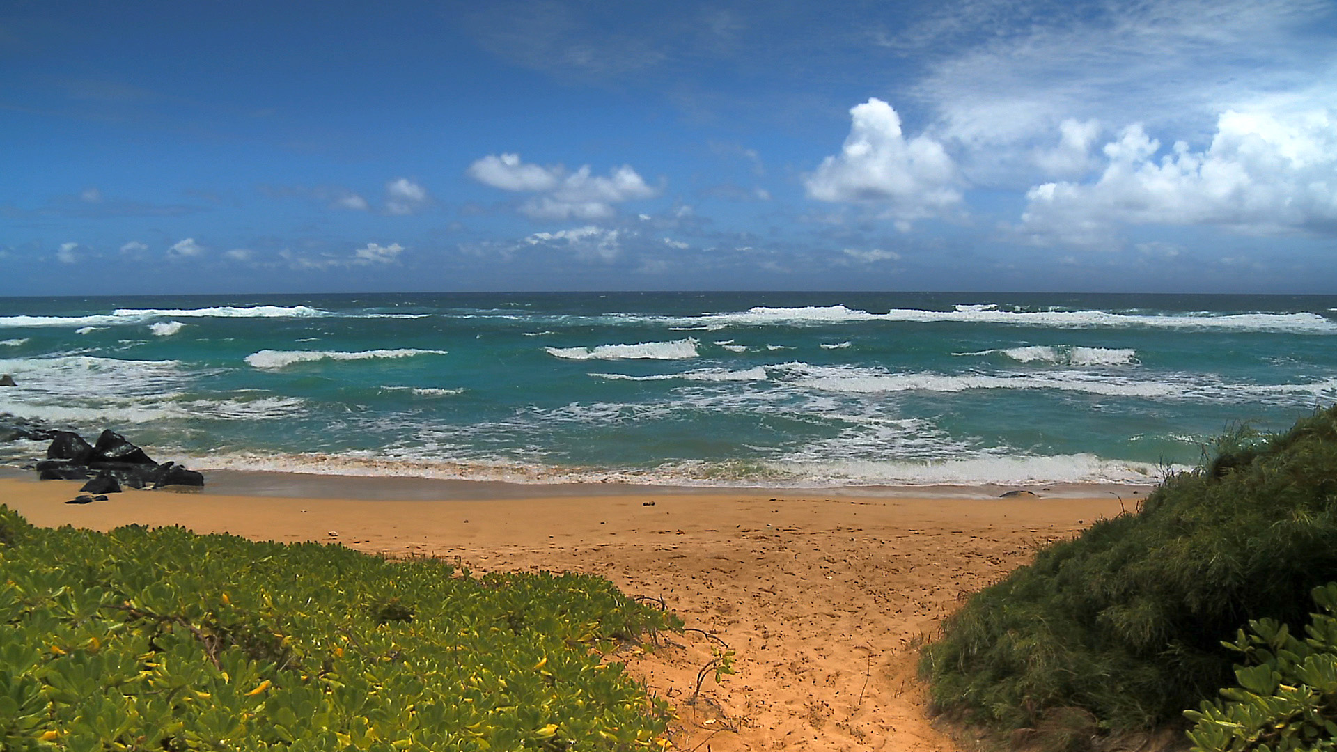 Hawaii Photos Background Screensaver Beach Beaches Media