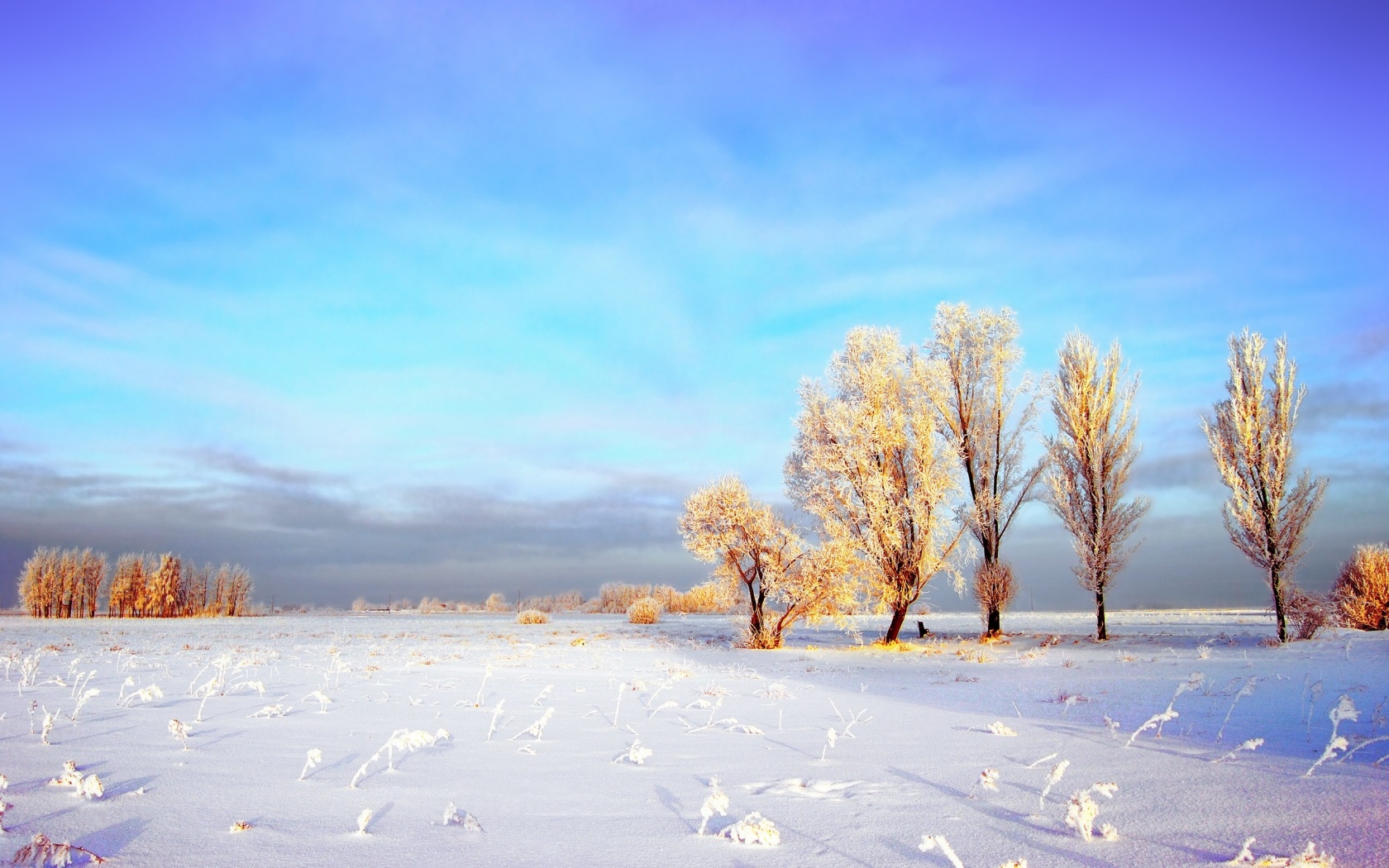 Snowy Winter Landscape Desktop Pc And Mac Wallpaper