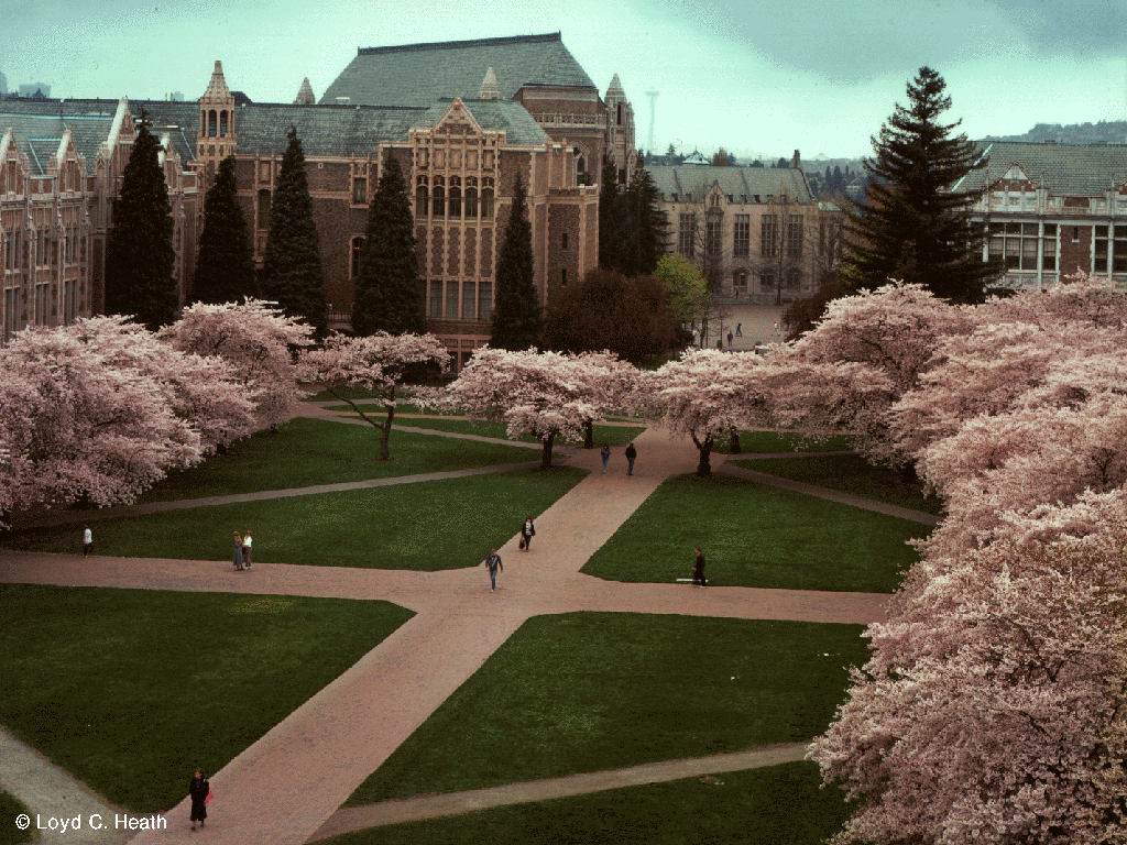 University Of Washington Photos