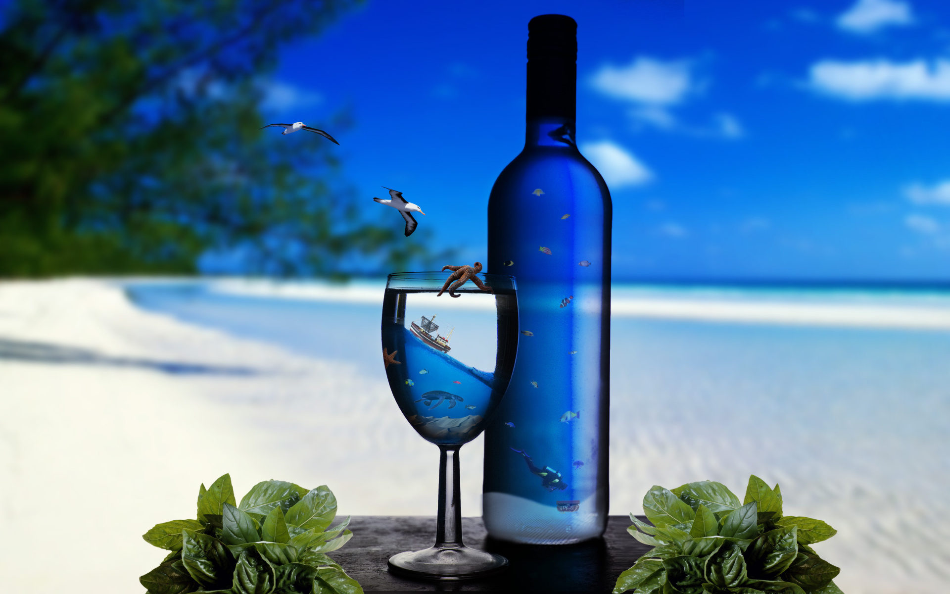 Beautiful Beach Blue Bottle Wallpaper Best Asian Hospitality