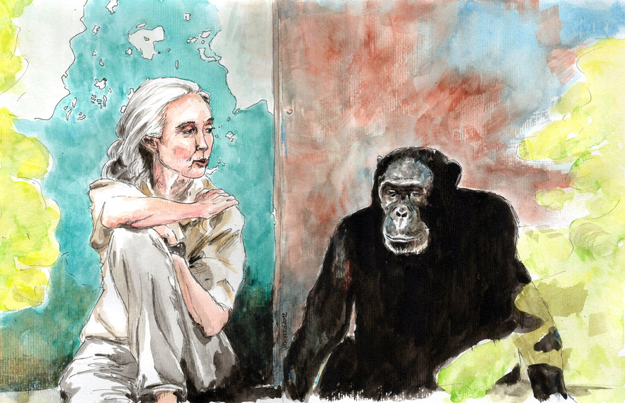 Dr Jane Goodall By Vickytico