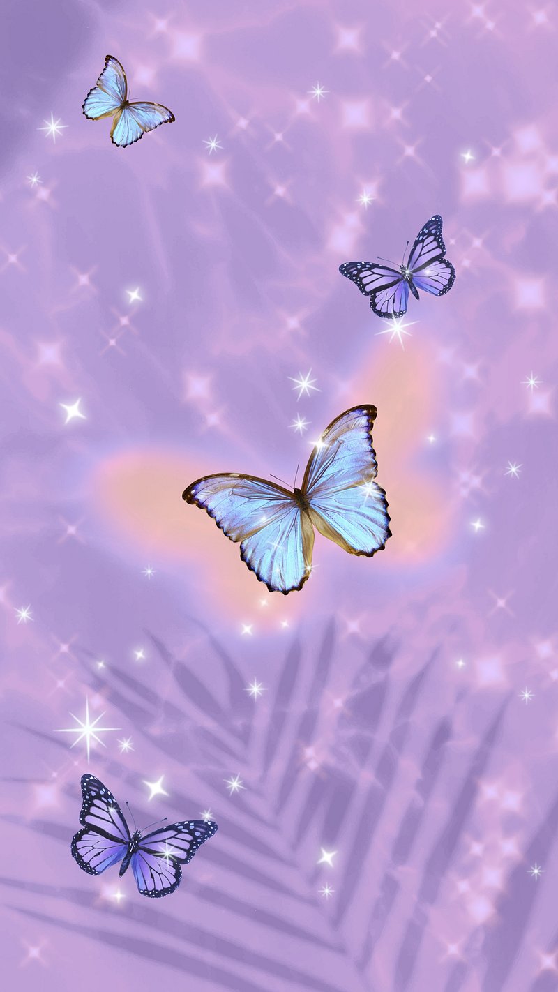 Butterfly Phone Wallpaper Image