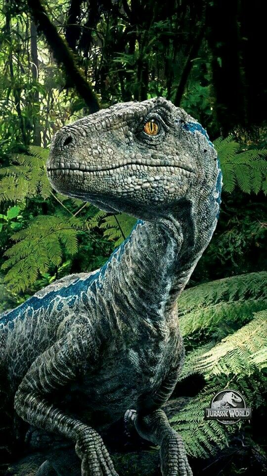 Dino Guerreros Prehist Ricos Velociraptor Blue Jurassic World