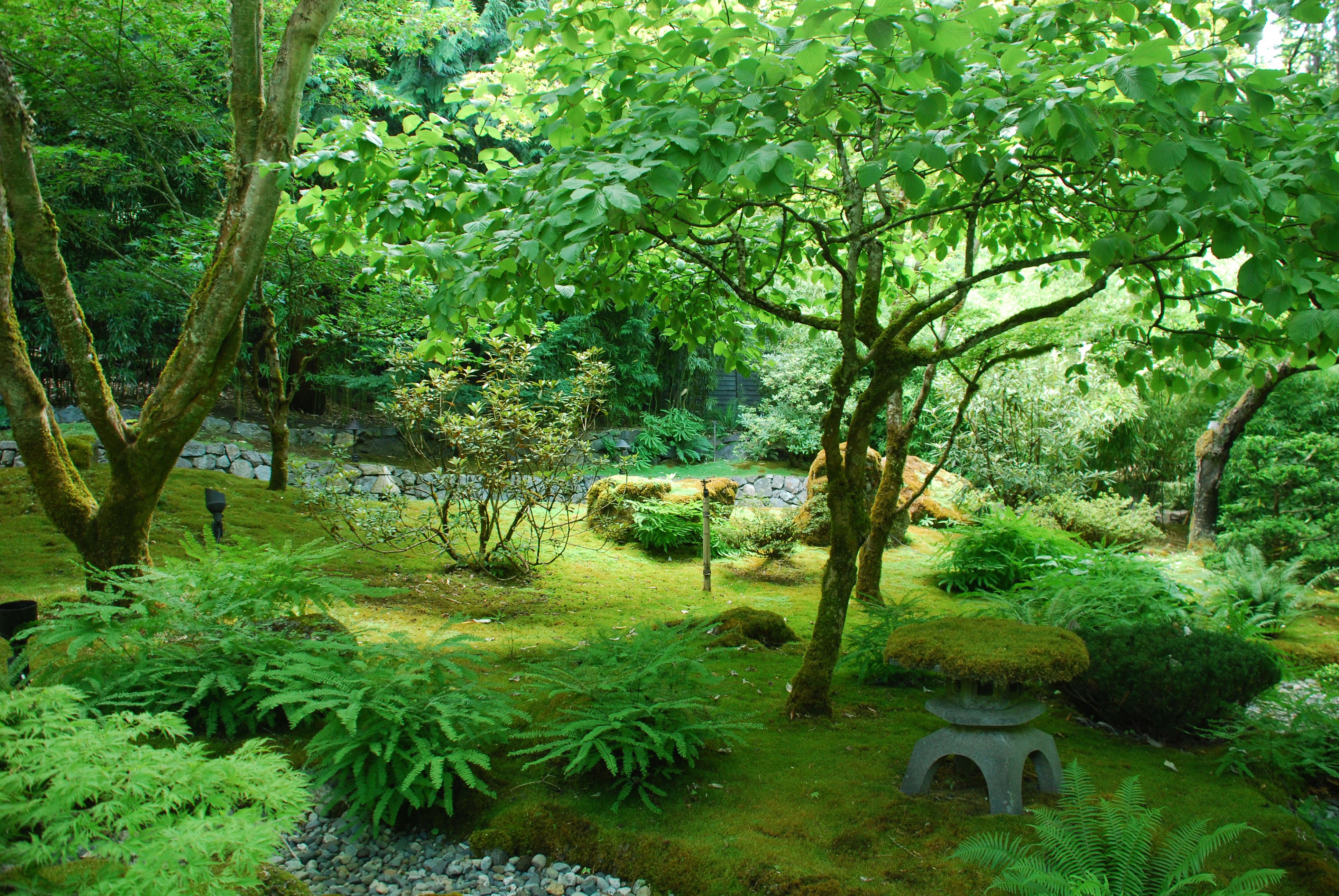 Peaceful Japanese Garden Travel Wallpaper and Stock Photo