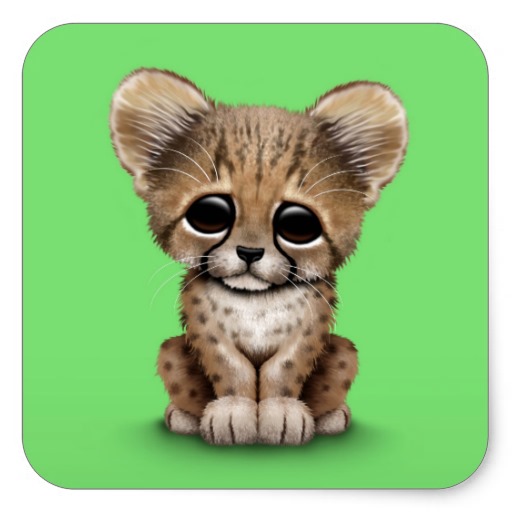 Cute Baby Cheetah Pictures Cub On Green