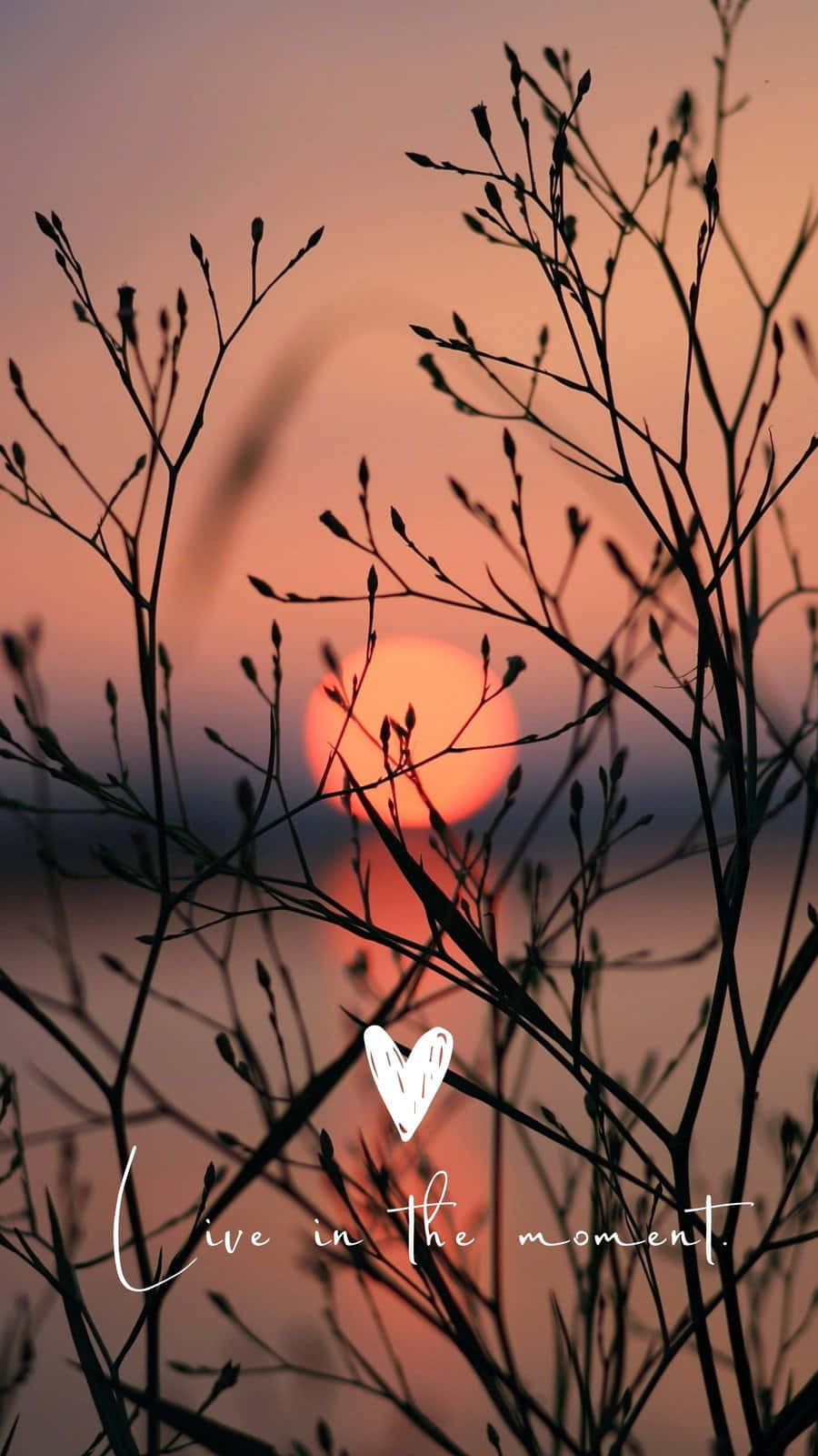 Small Phone Wallpaper
