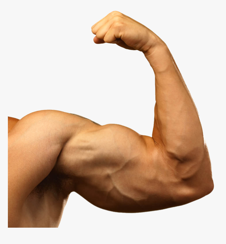 Muscle Arm Png Background Image Transparent Arms