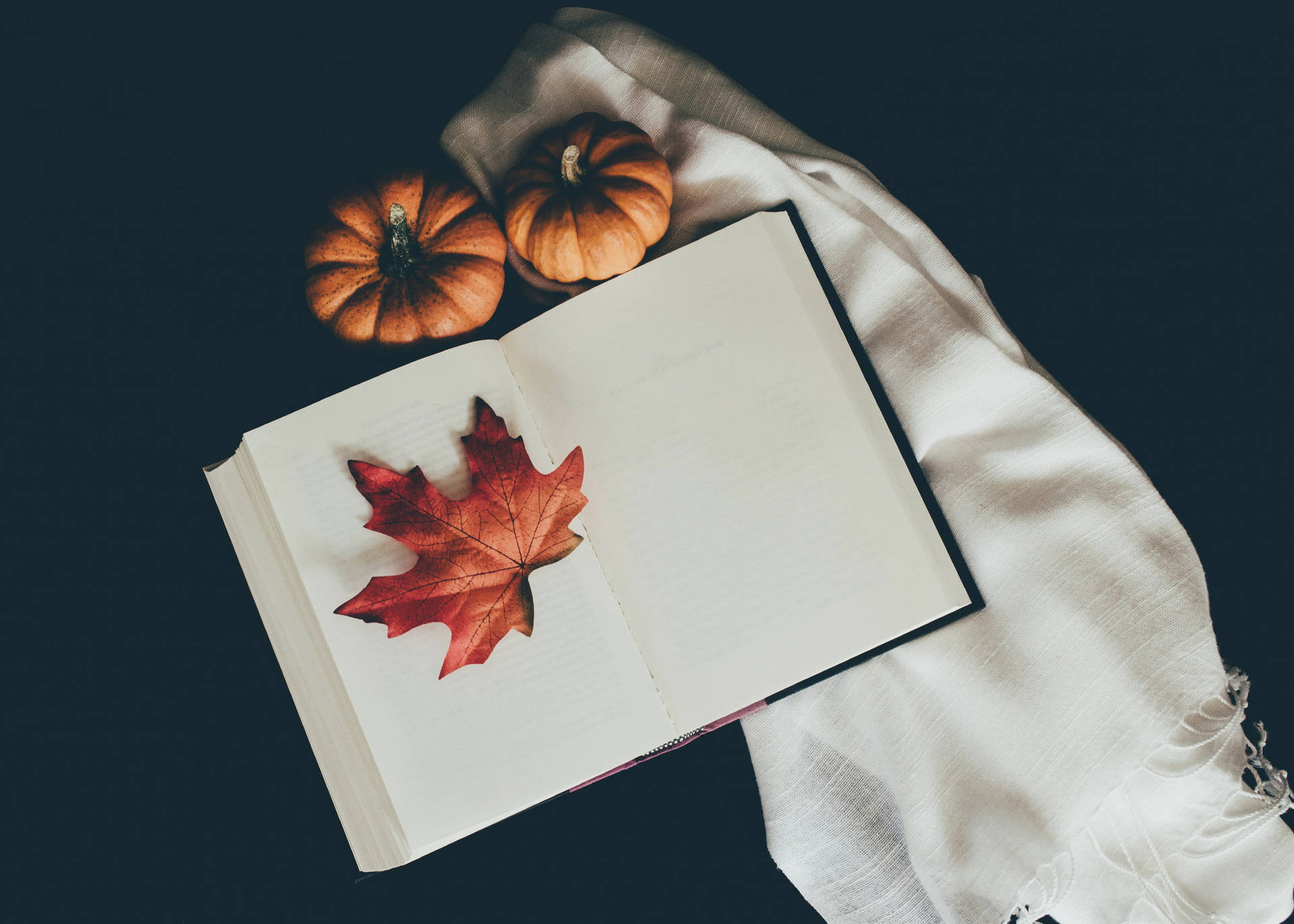 Cozy Autumn Wallpaper